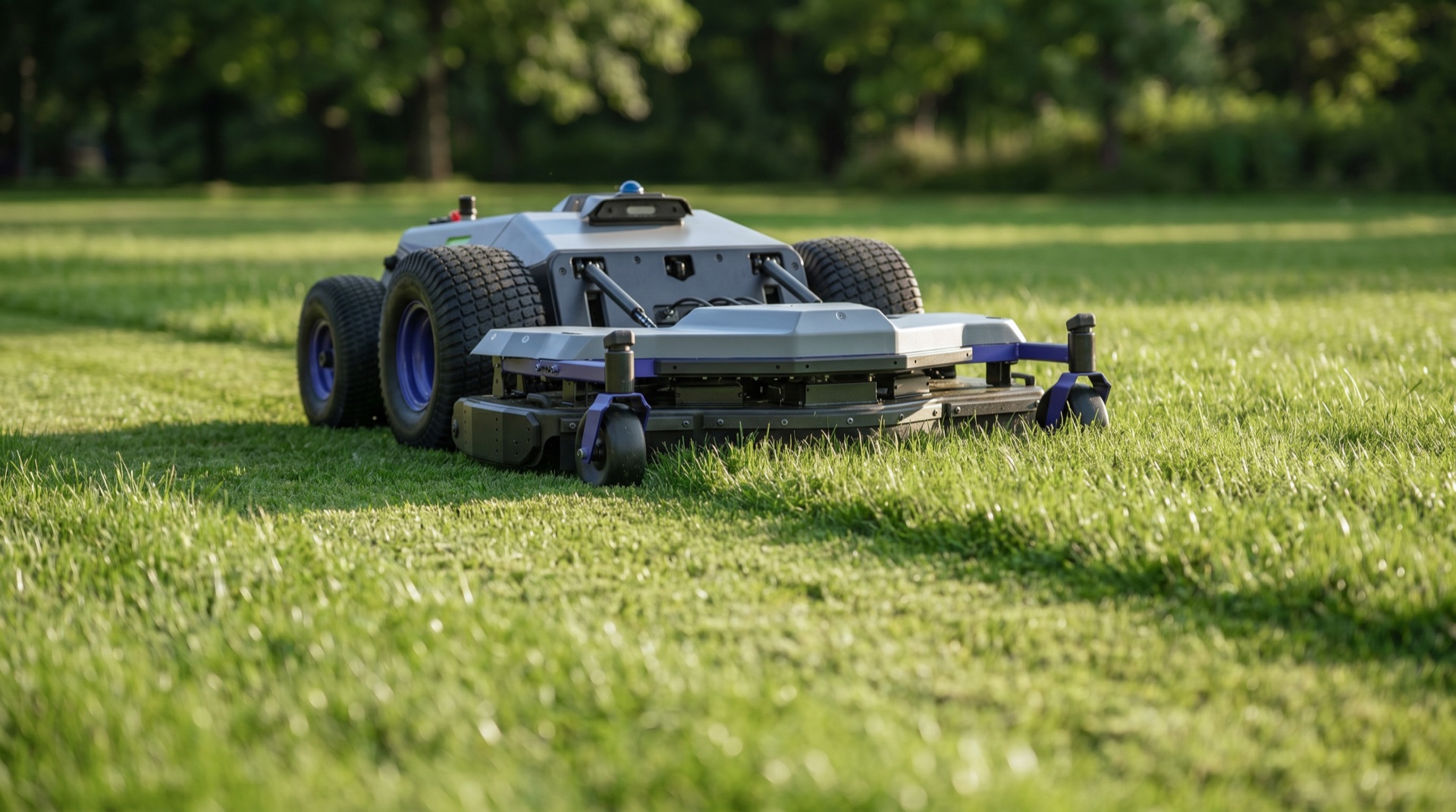 Robotic Lawn Mower